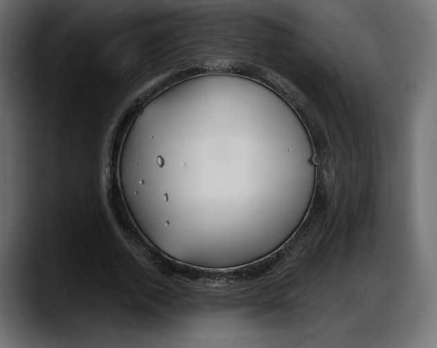 X0000087740728200705291012