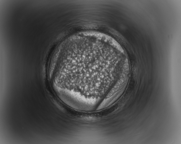 X0000087740729200705291012