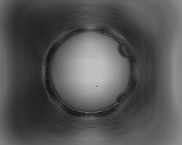 X0000087740730200705291012