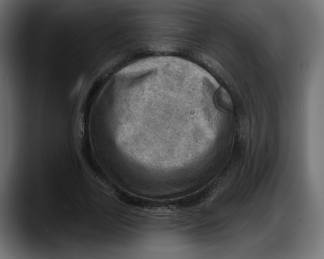 X0000087740731200705291012