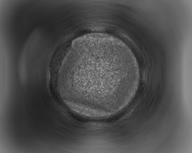 X0000087740733200705291012