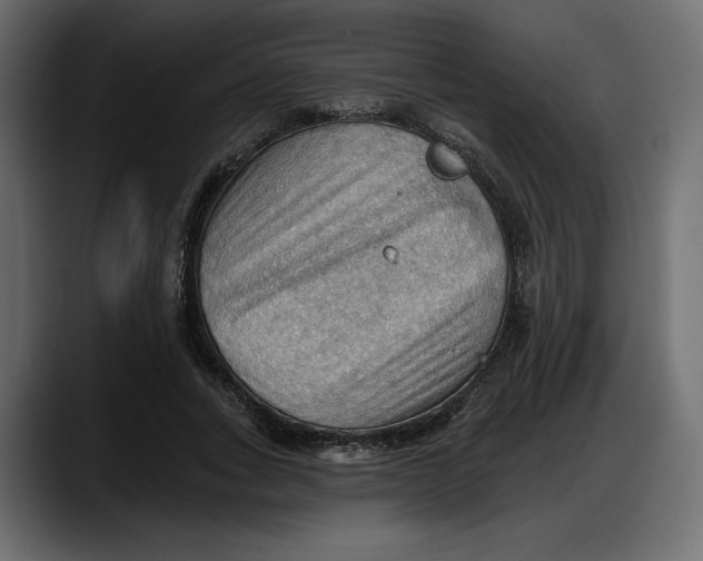 X0000087740735200705291012