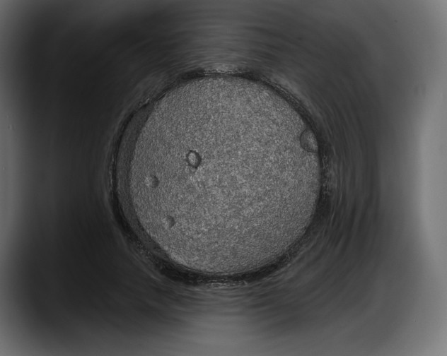 X0000087740738200705291012