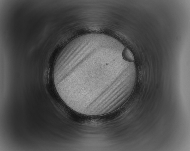 X0000087740739200705291012