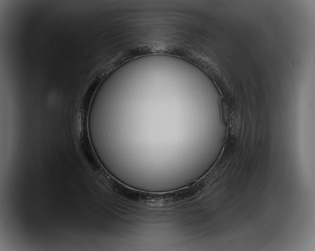 X0000087740740200705291012