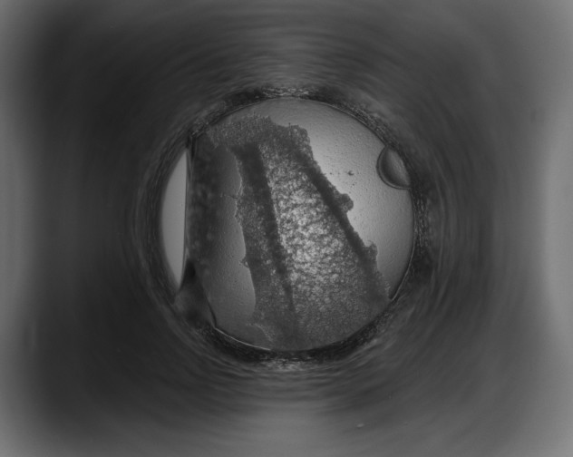 X0000087740742200705291012