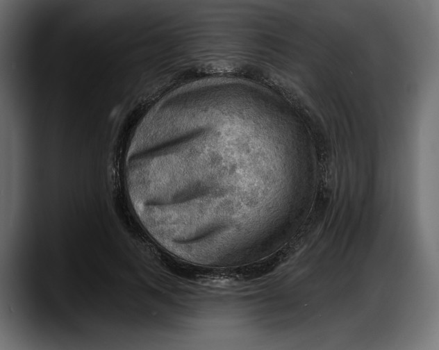 X0000087740743200705291012