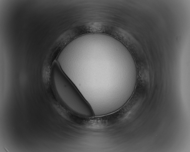 X0000087740744200705291012