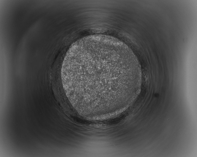 X0000087740745200705291012