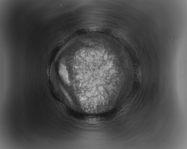 X0000087740746200705291012
