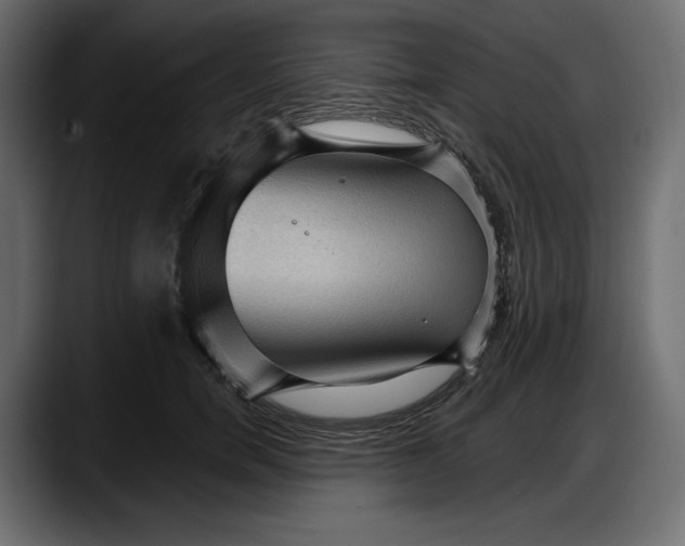 X0000087740750200705291012