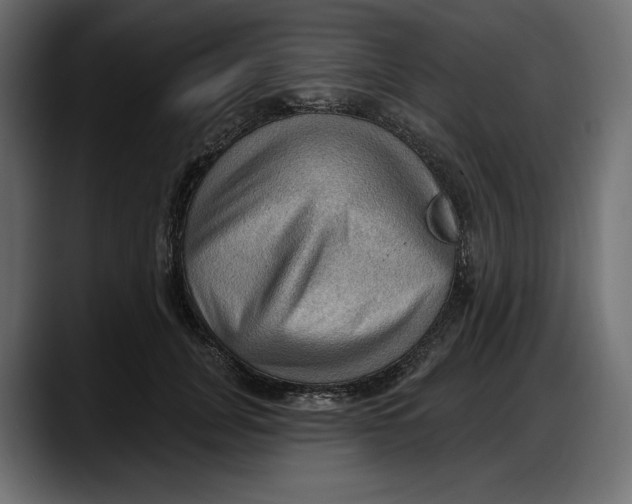 X0000087740751200705291012