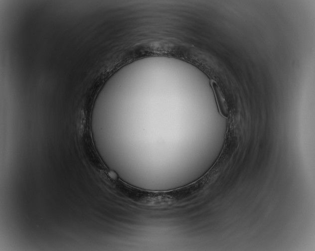 X0000087740752200705291012