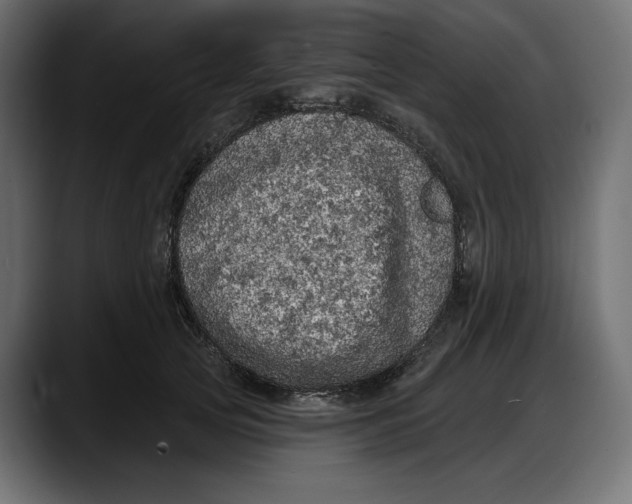 X0000087740753200705291012