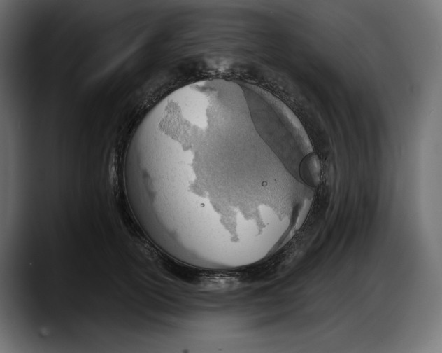 X0000087740754200705291012