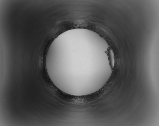 X0000087740756200705291012