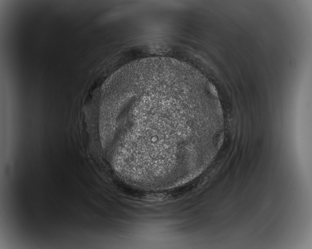 X0000087740757200705291013