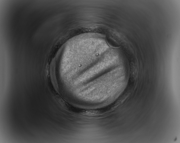 X0000087740758200705291013