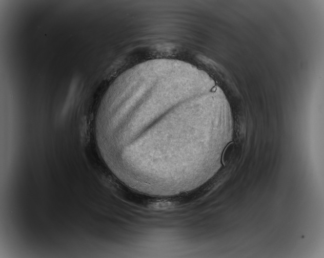 X0000087740759200705291013