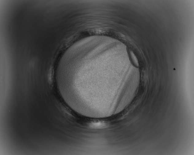 X0000087740760200705291013