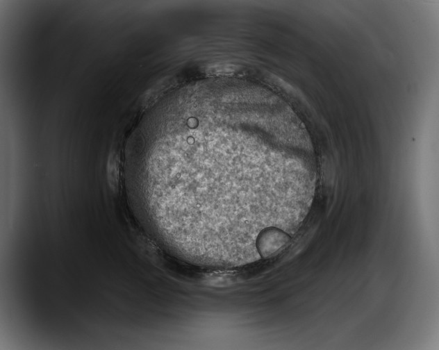 X0000087740761200705291013