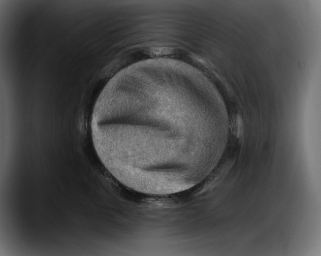 X0000087740763200705291013