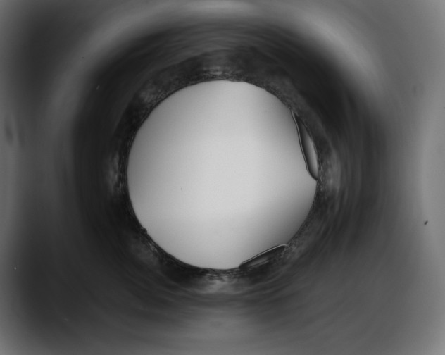 X0000087740764200705291013