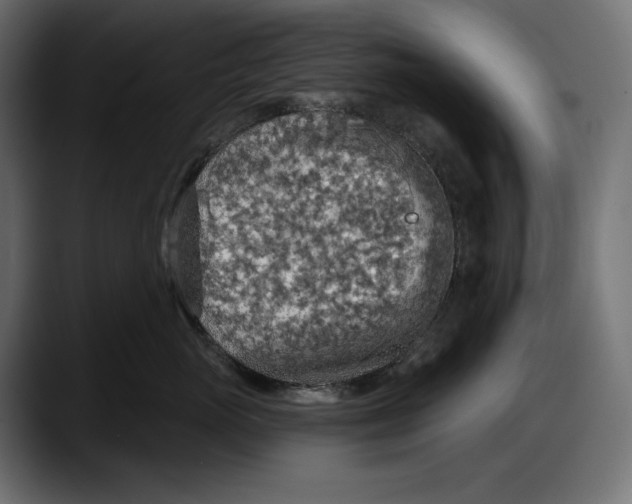 X0000087740765200705291013