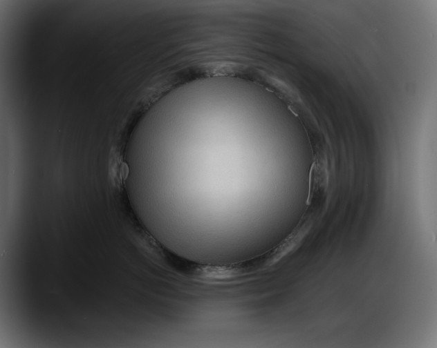 X0000087740766200705291013