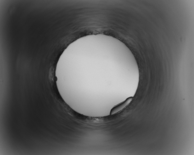 X0000087740768200705291013