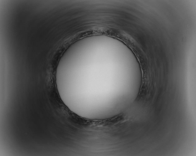 X0000087740773200705291012
