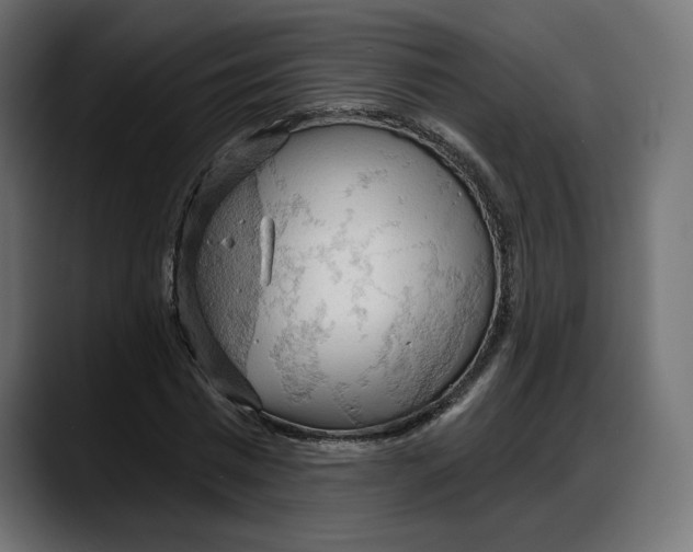 X0000087740777200705291012