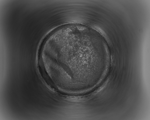 X0000087740780200705291012