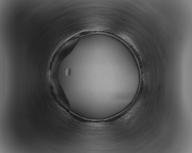 X0000087740781200705291012