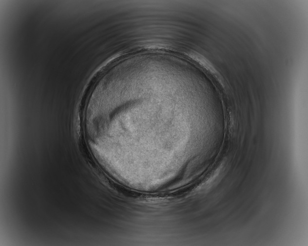 X0000087740782200705291012