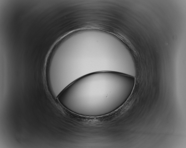 X0000087740784200705291012