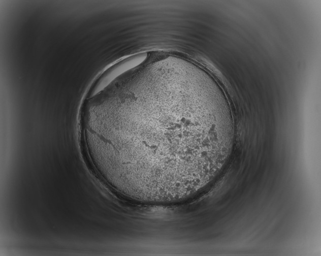 X0000087740787200705291012