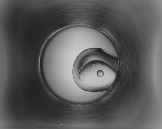 X0000087740788200705291012