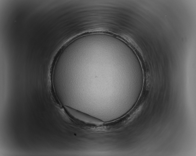 X0000087740789200705291012