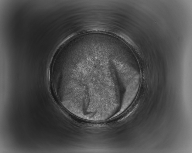X0000087740790200705291012
