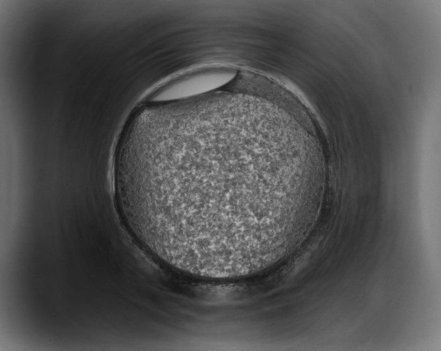 X0000087740791200705291012