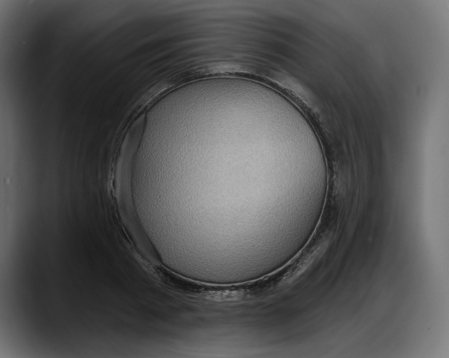 X0000087740793200705291012