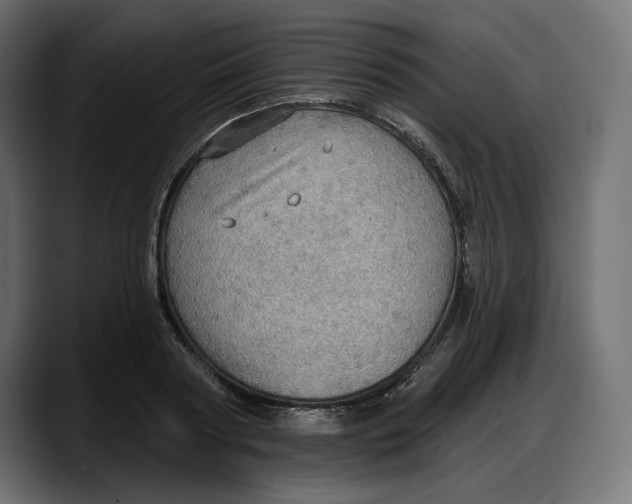 X0000087740794200705291012