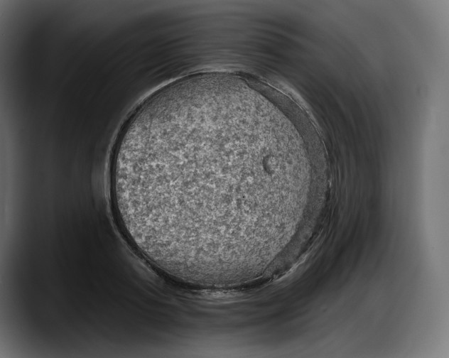 X0000087740795200705291012