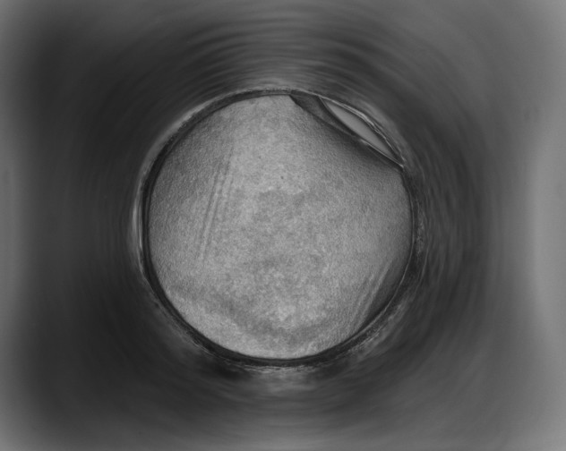 X0000087740796200705291012