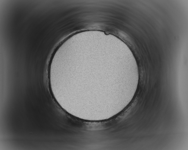 X0000087740800200705291012
