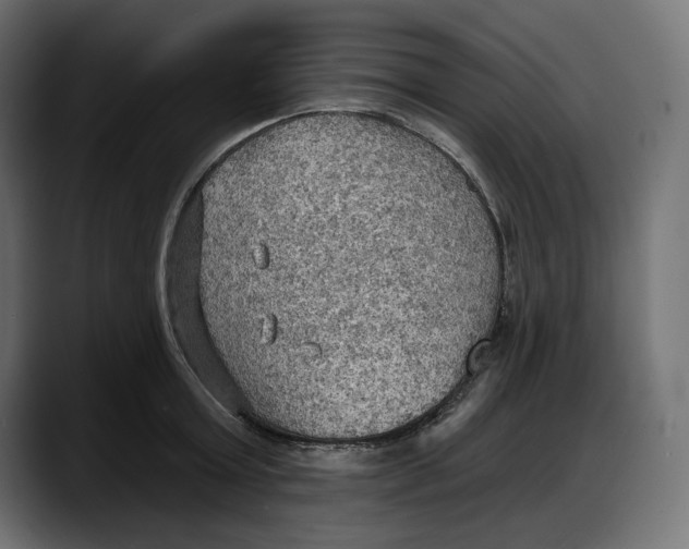 X0000087740803200705291012