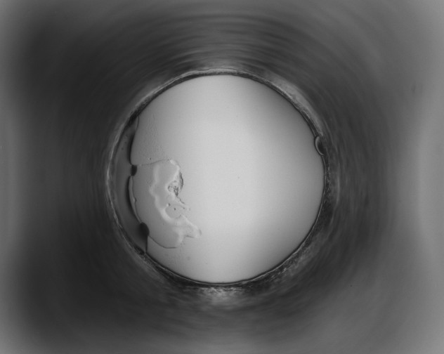 X0000087740805200705291012