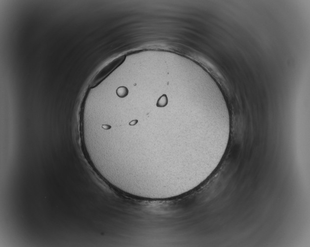 X0000087740808200705291012