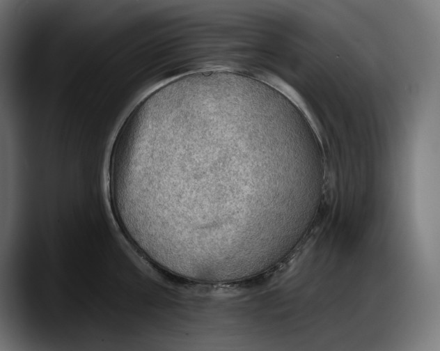 X0000087740811200705291011